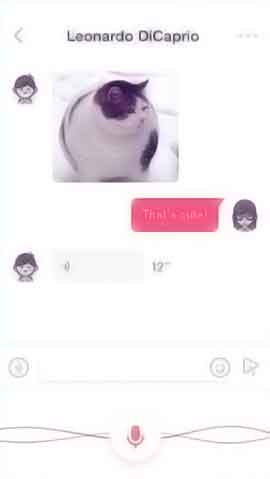 ddos攻击防御手段软件程序维护界面